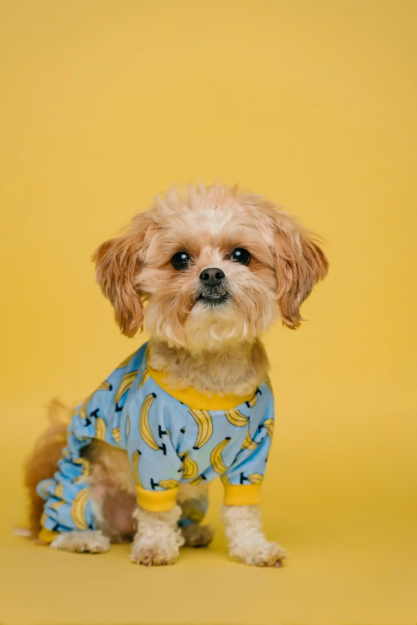 Another cute animal